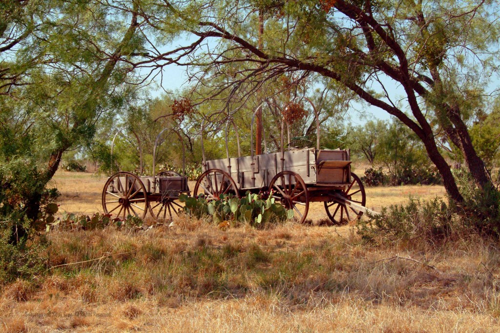 Covered wagon headed west