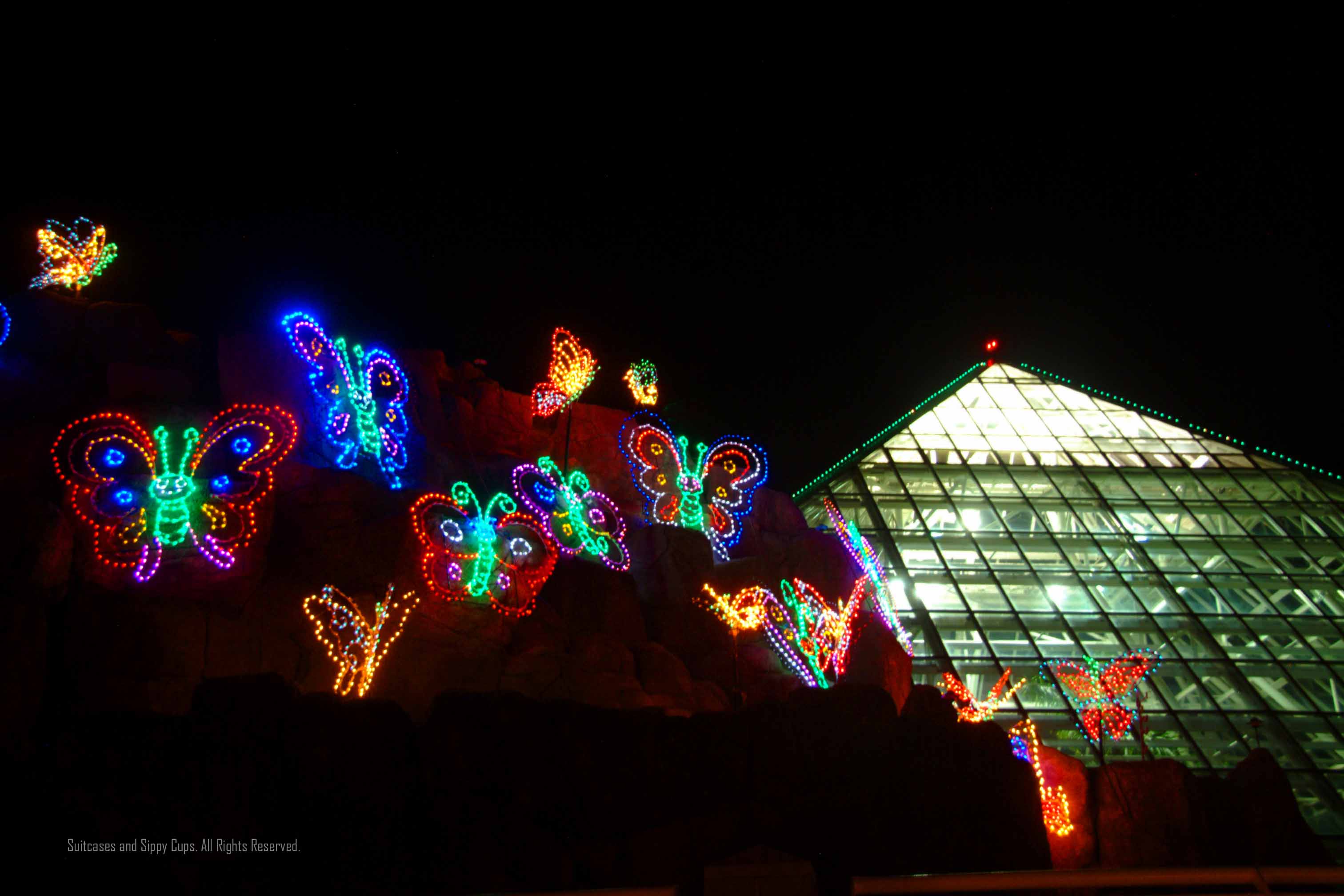 Festival Of Lights Moody Gardens Galveston Texas