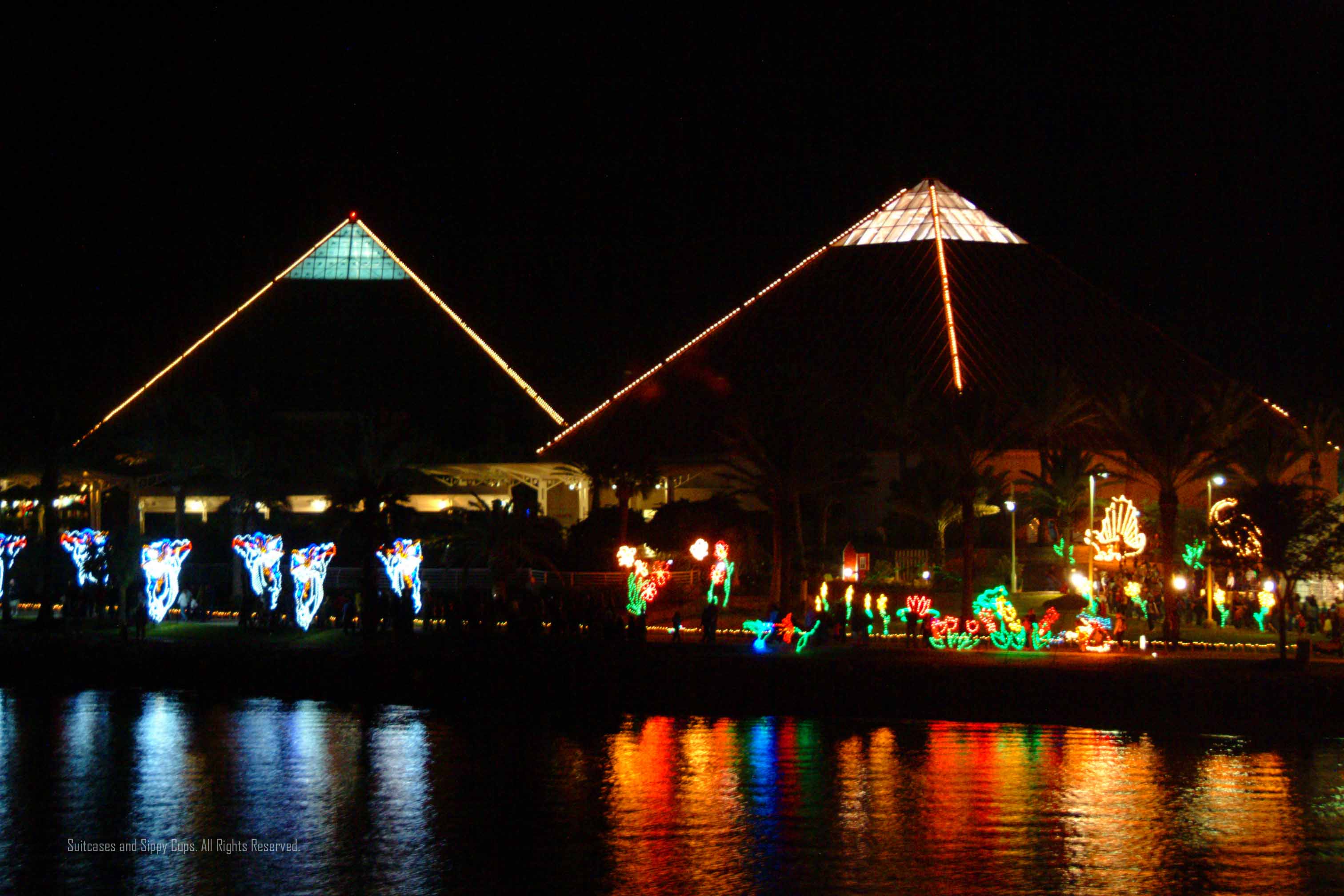 Festival Of Lights Moody Gardens Galveston Texas Suitcases