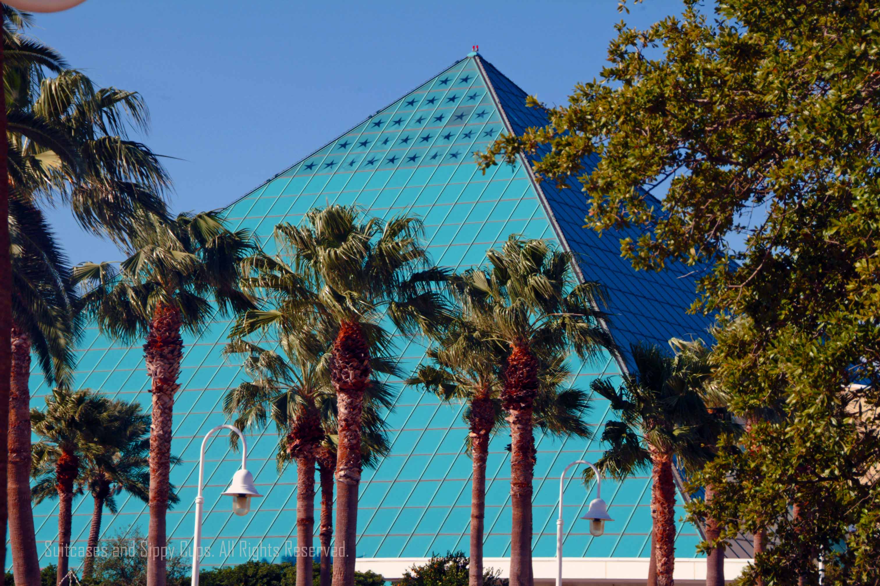 moody gardens dinosaur exhibit