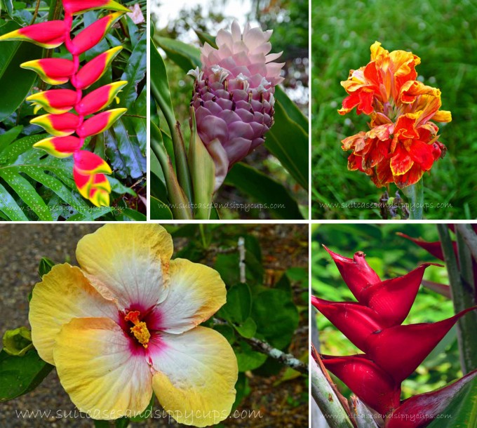 flowers of waimea valley