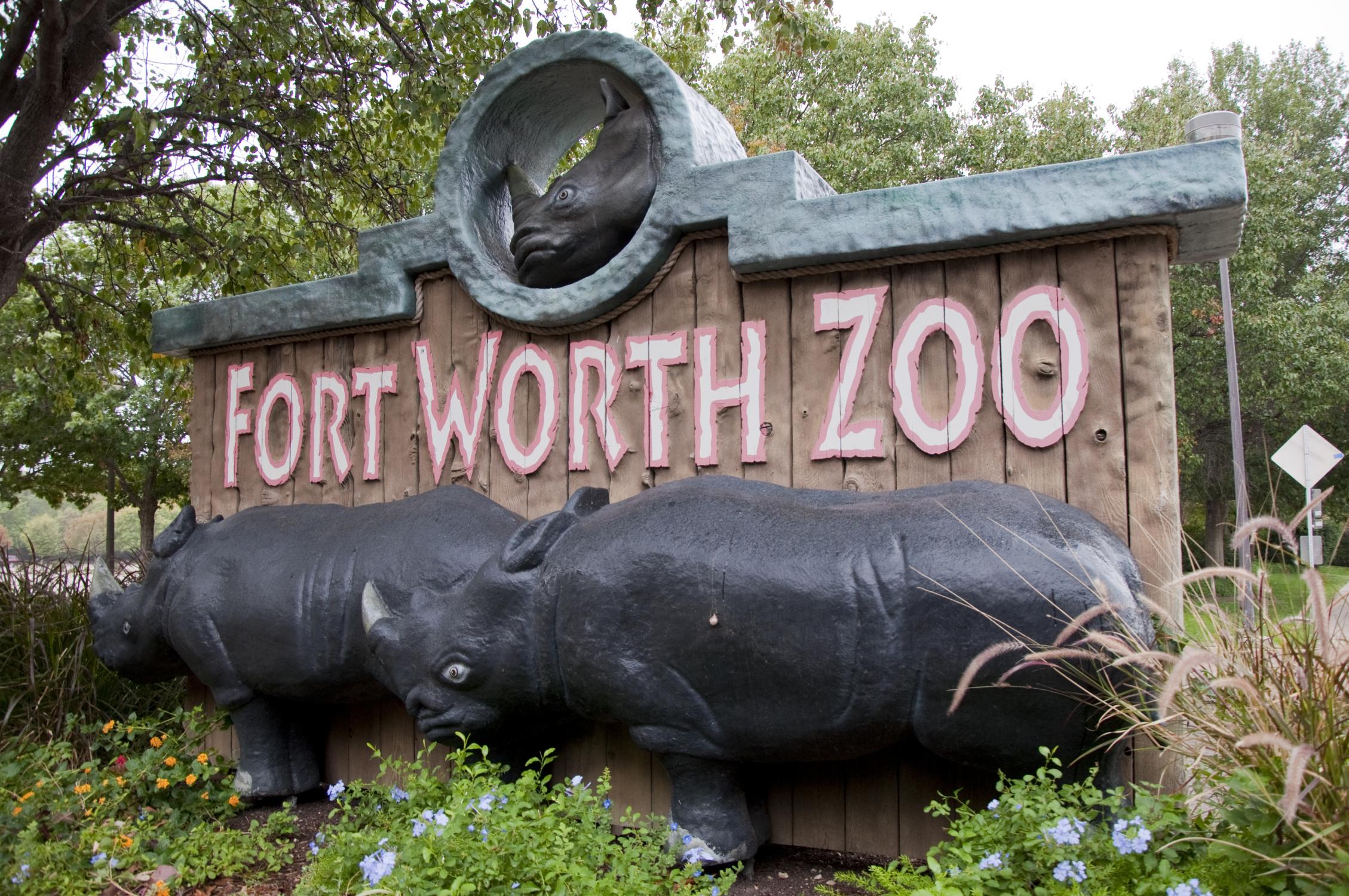 Fort Worth Zoo Fort Worth Zoo Reopens To The Public May 29 Dallas Tx