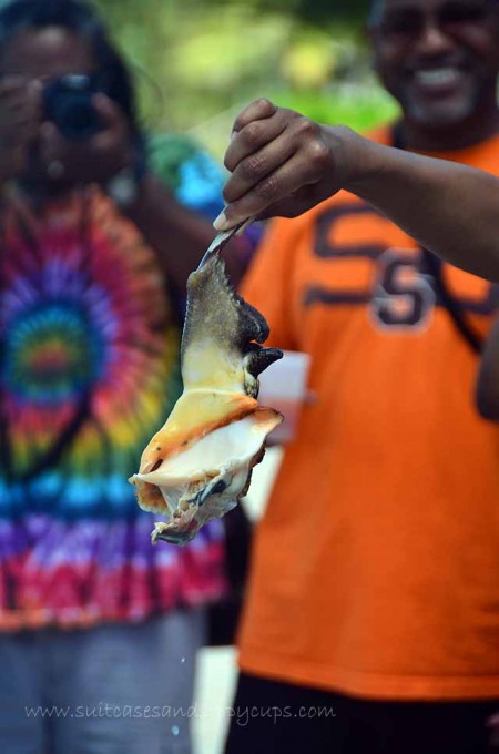 freshly opened conch