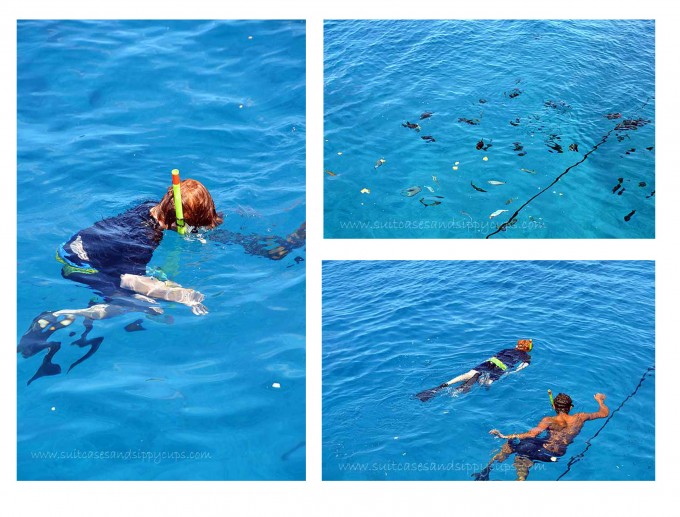 snorkeling waikiki beach