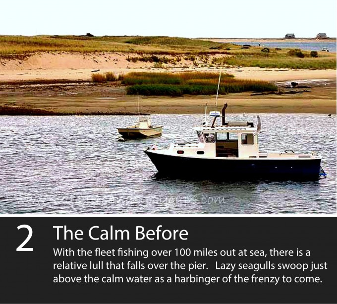With the fleet fishing over 100 miles at sea, there's a relative lull that falls over the pier. Lazy seagulls swoop just above the calm water as a harbinger of the frenzy to come.