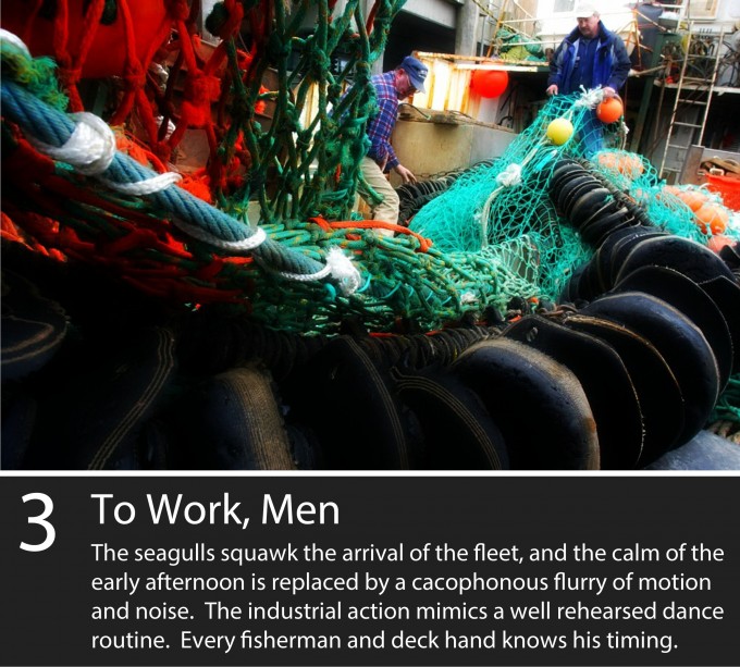 The seagulls squawk the arrival of the fleet, and the calm of the early afternoon is replaced by a cacophonous flurry of action and noise. The industrial action mimics a well rehearsed dance routine. Every fisherman and deck hand knows his place.