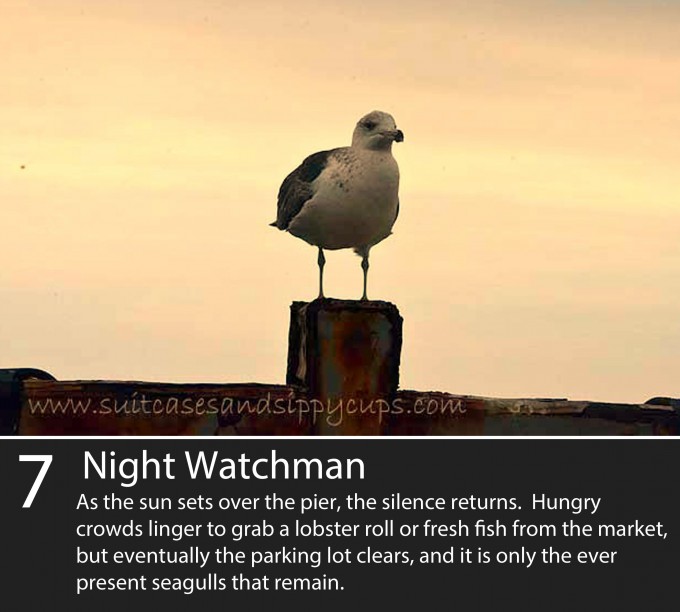 As the sun sets over the pier, the silence returns. Hungry crowds linger to grab a lobster roll or fresh fish from the market, but eventually the parking lot clears and its only the ever present seagulls that remain.