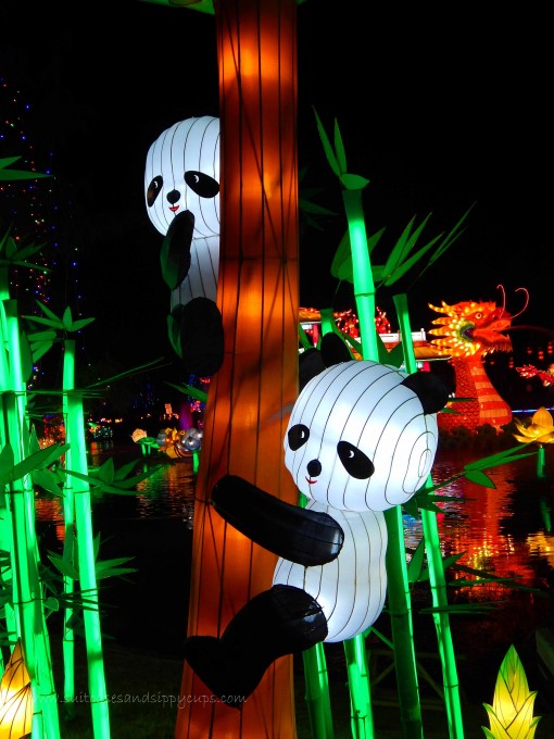 Pandas Chinese Lantern Festival