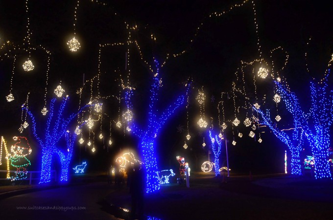lights Christmas Galveston