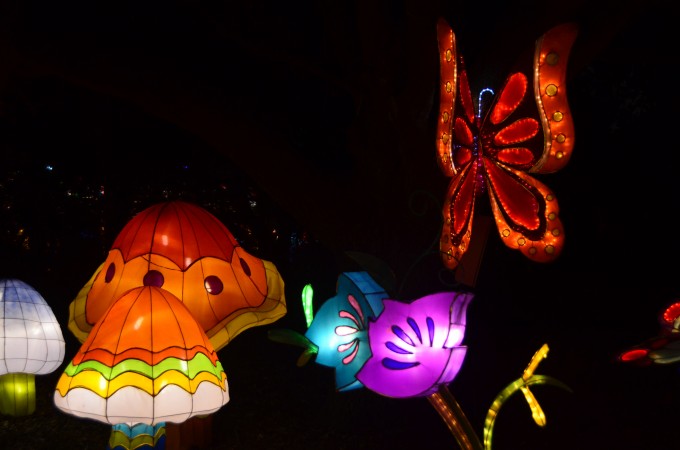 butterflies chinese lantern festival