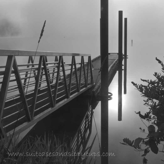 reflection on the lake