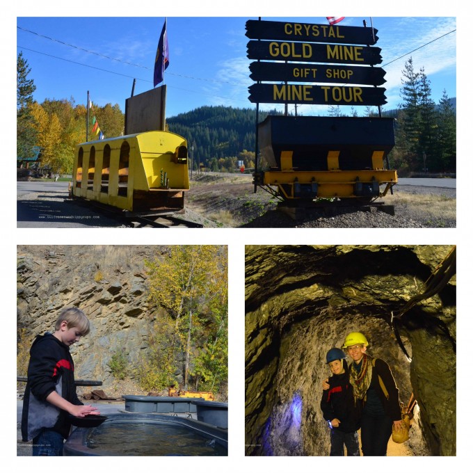 Gold Mine Collage