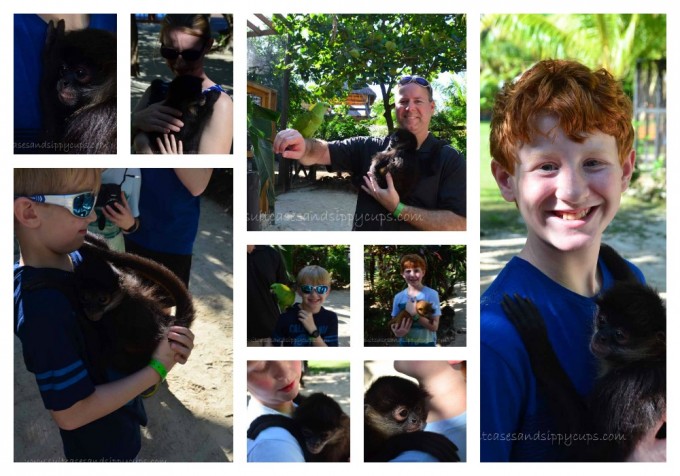 meeting Monkeys roatan