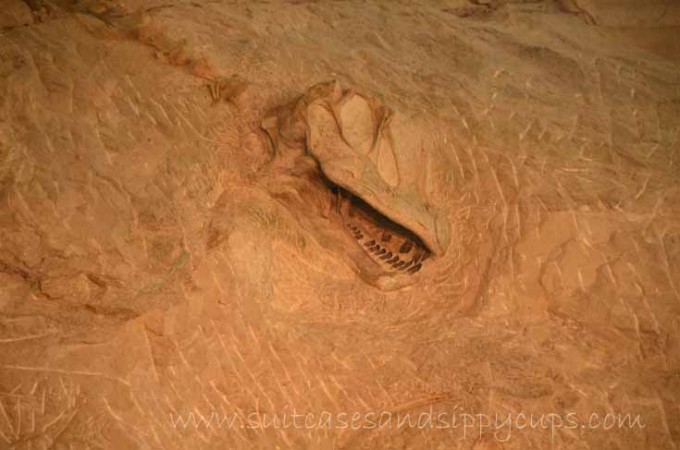 dinosaur head national national monument