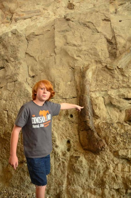 touching a dinosaur bone at monument