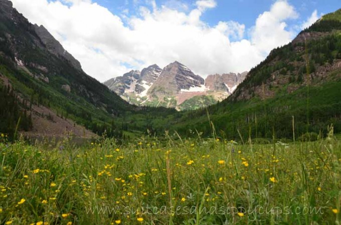 wildflowers at maroon bells