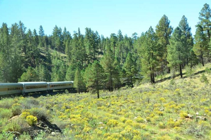 Grand Canyon Train