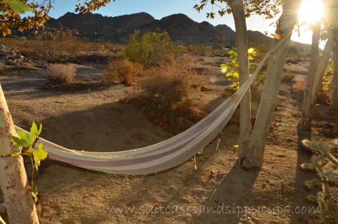 hammock rattler ranch