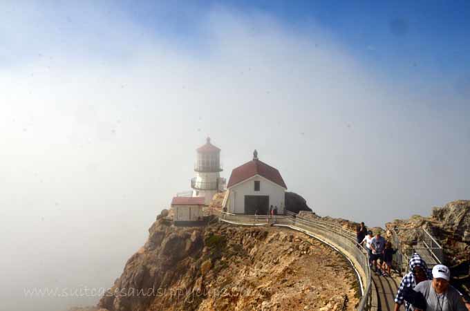 foggy point reyes lighthouse