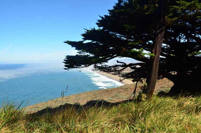 views from Point Reyes