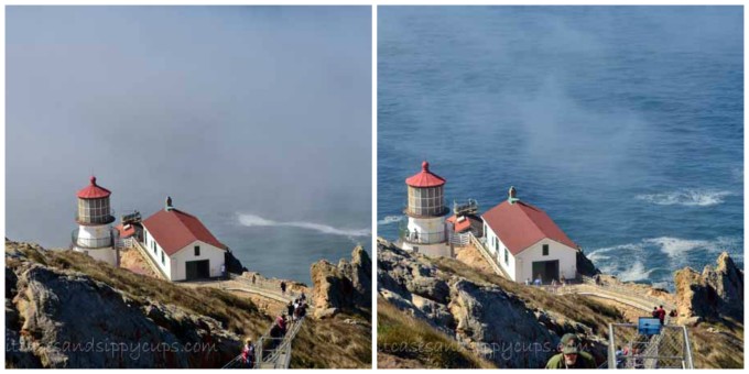 Point Reyes Lighthouse foggy
