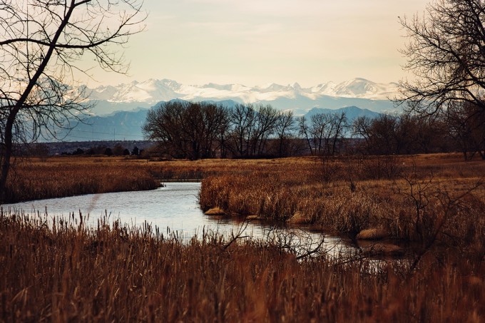 Denver landscape