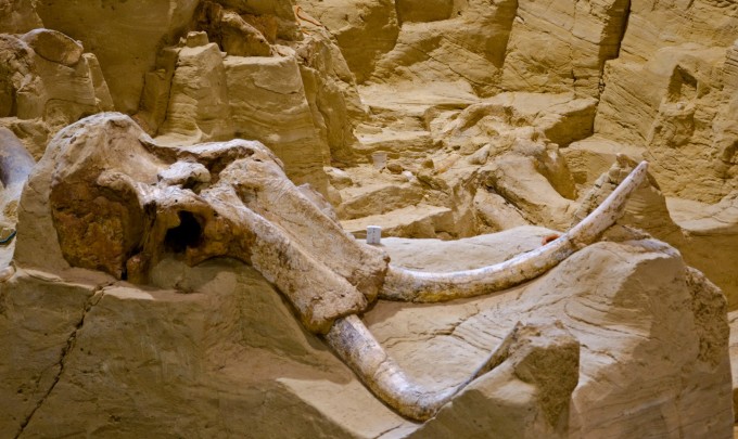 mammoth-site