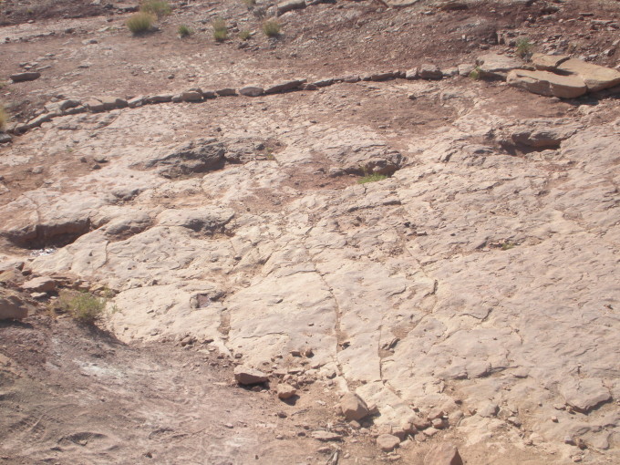 Copper Ridge Dinosaur Tracks