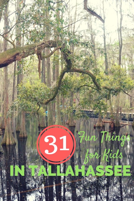 31 Things to Do in Tallahassee